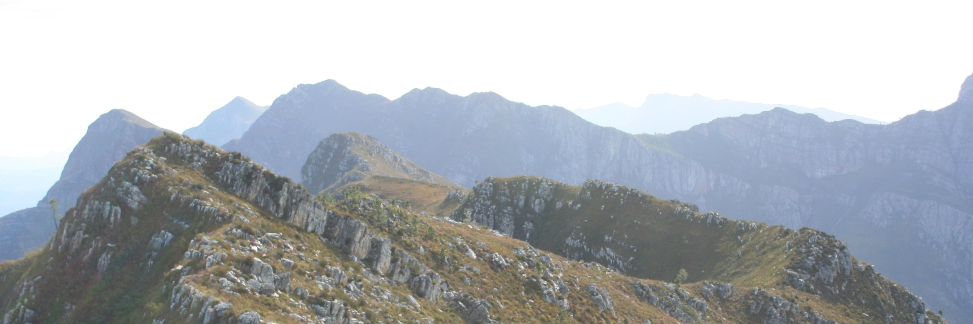 peterlinder's profile banner image