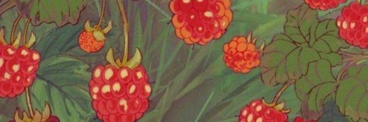 IolIyi's profile banner image
