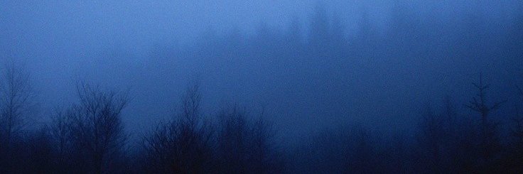 _ceciliaflowers's profile banner image