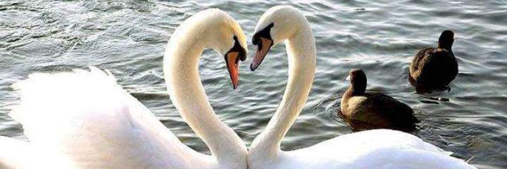 abu_yusef77's profile banner image