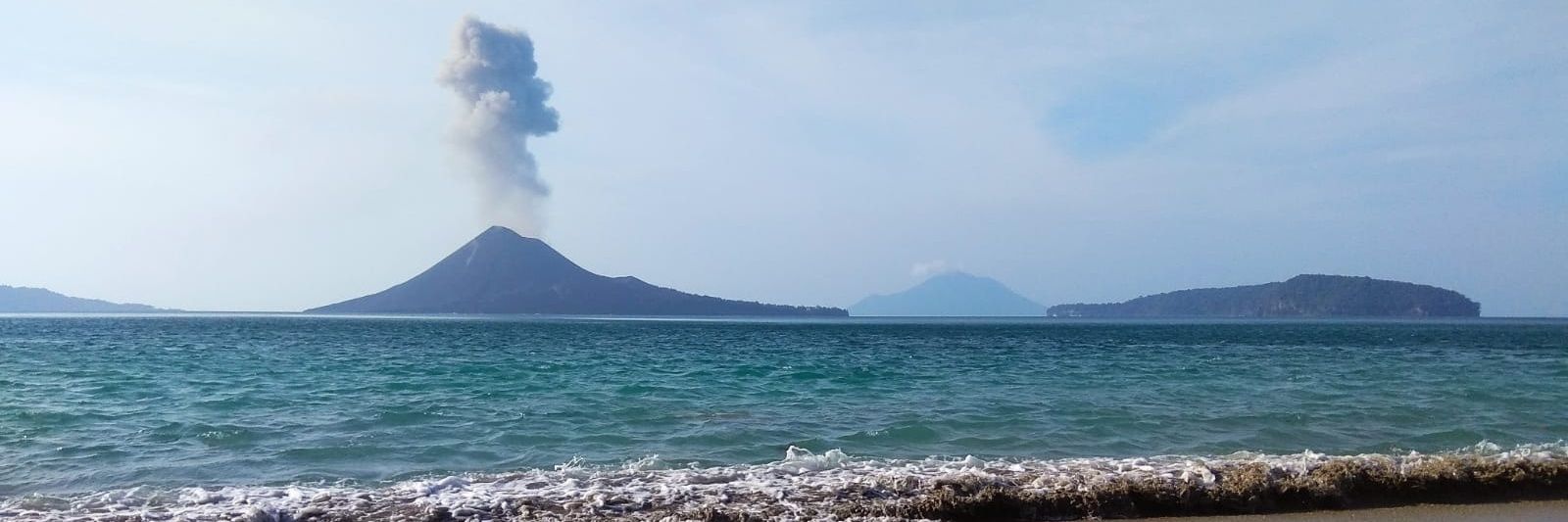 Helena Albert banner