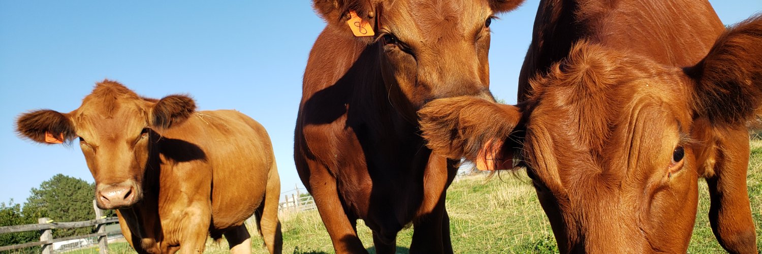 Andrew Gjefle banner