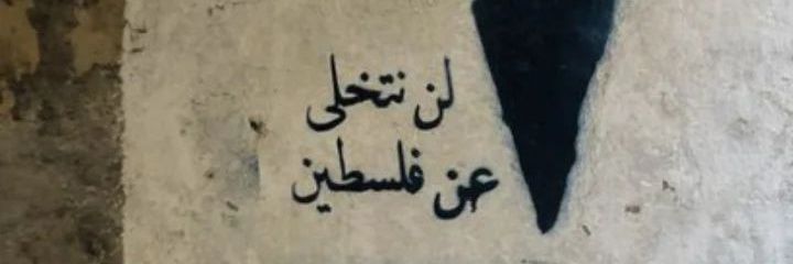 shahd adel banner