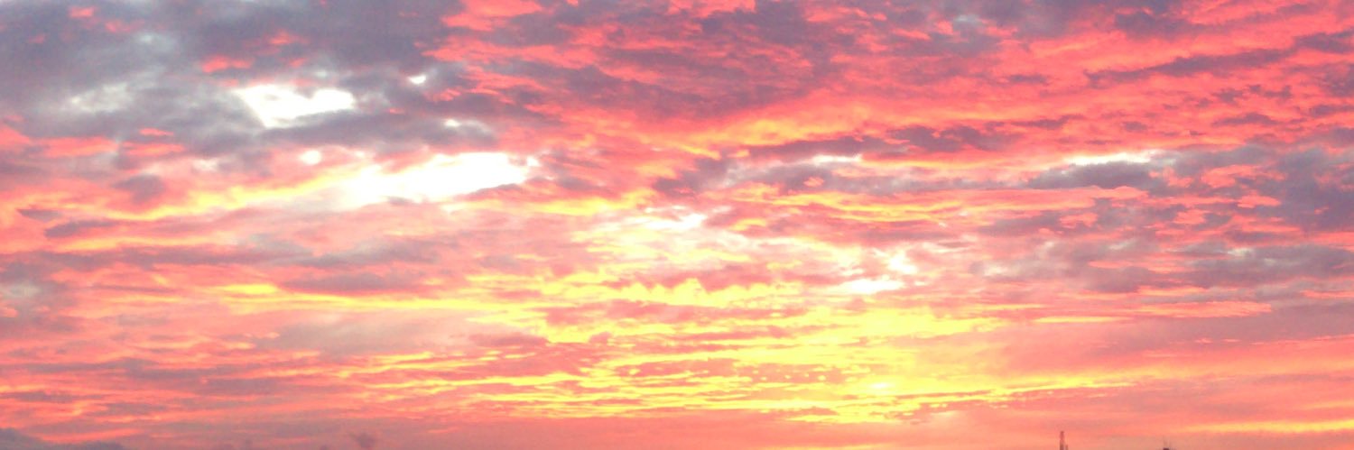 Manolasc's profile banner image