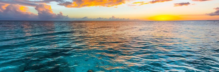 𝕊𝕖𝕦 𝕊𝕠𝕟𝕙𝕠 𝕕𝕖 𝕔𝕠𝕟𝕤𝕦𝕞𝕠 ® banner