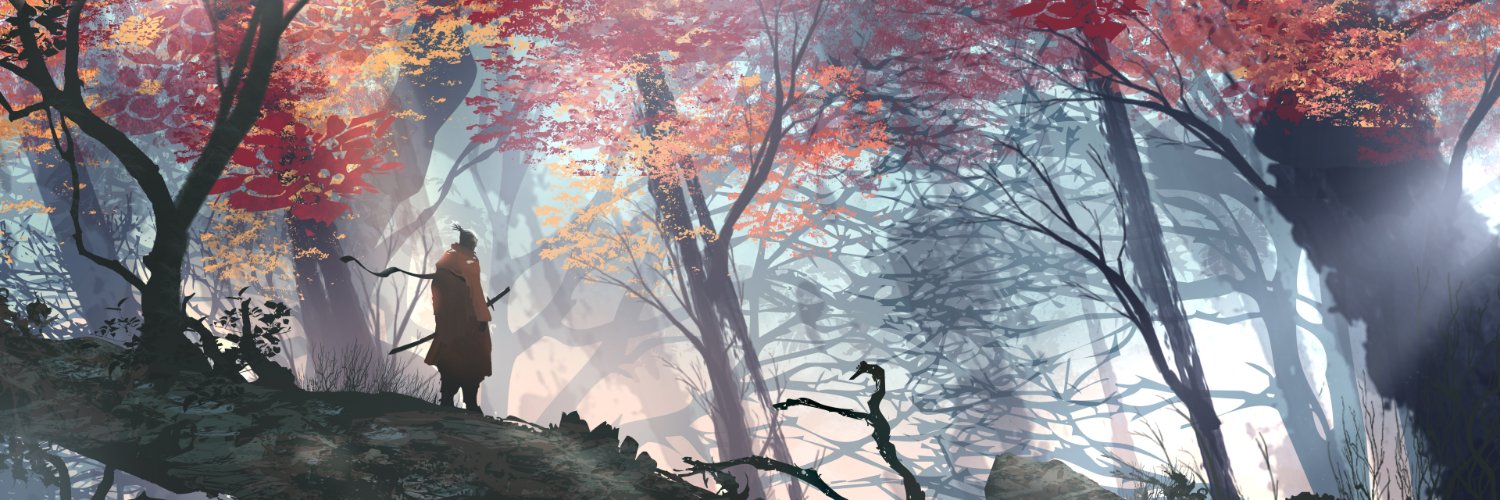 ein_windir's profile banner image