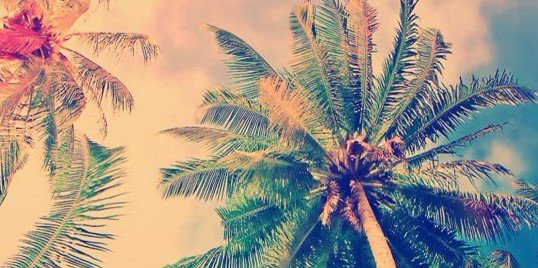 MariaGM95_'s profile banner image