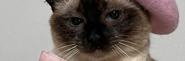 _JAEDA__ Profile Banner