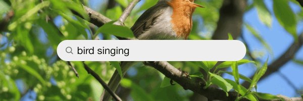 aniljad22433138 Profile Banner