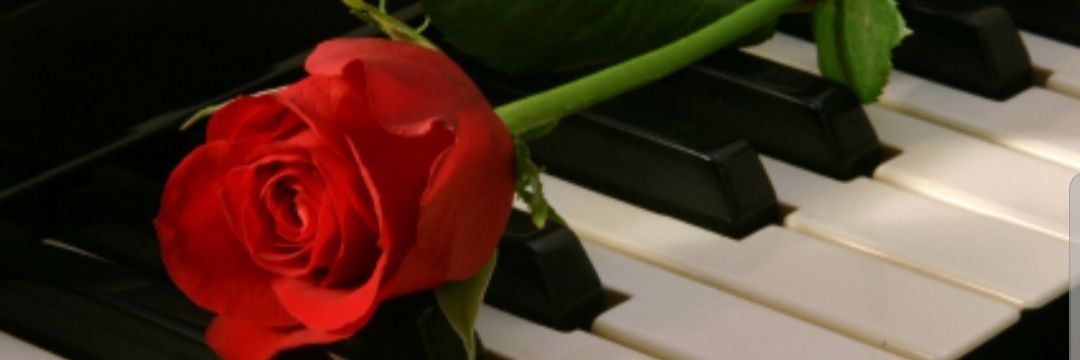 EngMuna86's profile banner image