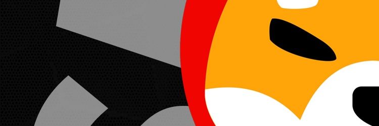 r_escaleira's profile banner image