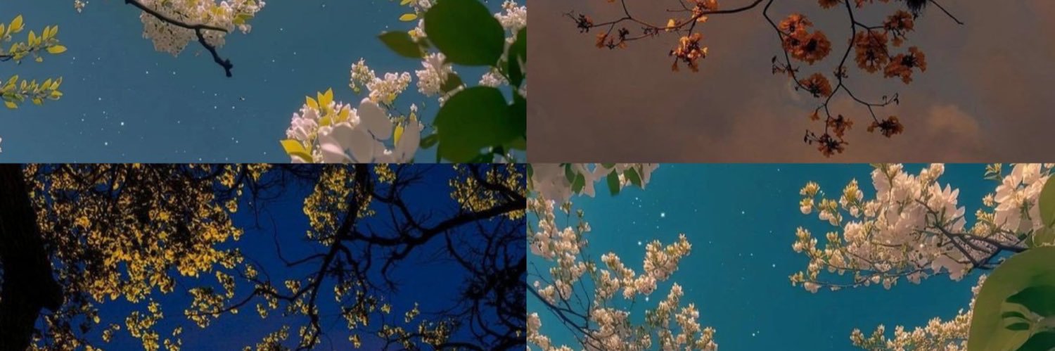 theaslicher's profile banner image