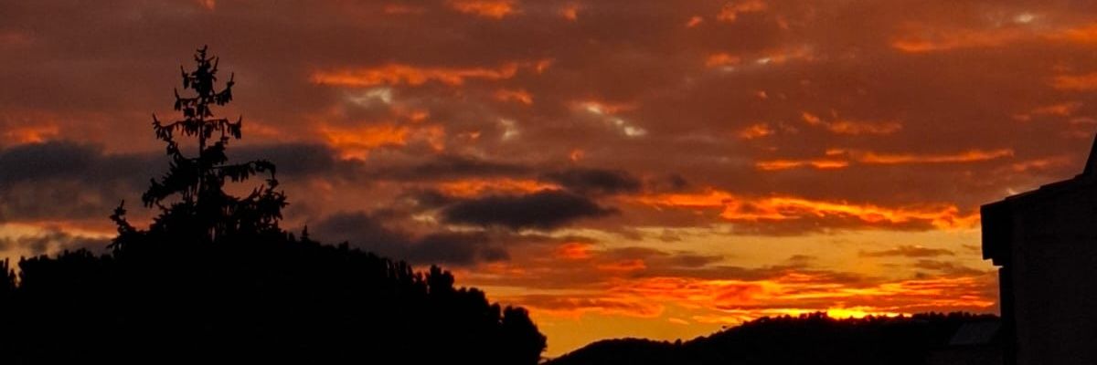 SocdeCAT's profile banner image