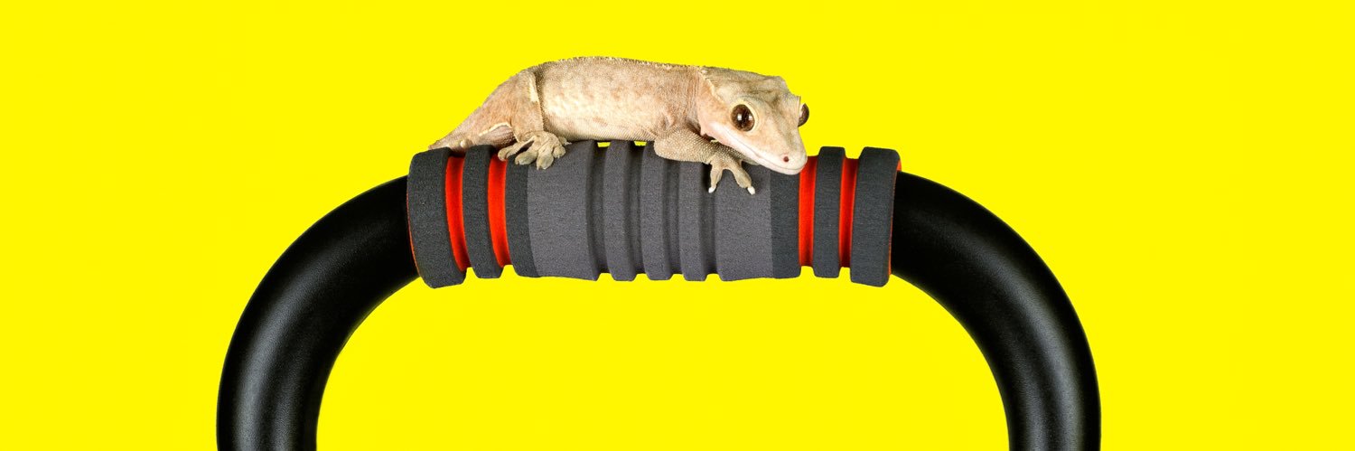 🥚 Jimmy Limit 🐌 banner