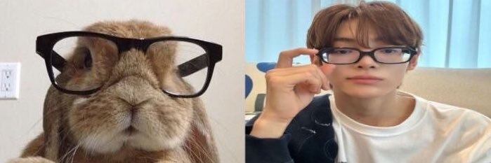 hanjinkins's profile banner image