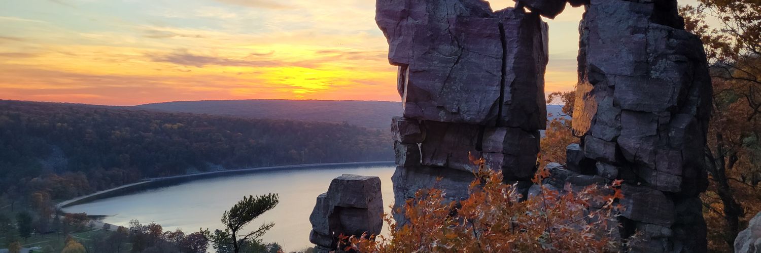 Anne Marie Liska banner