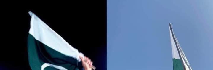 picklexiann's profile banner image