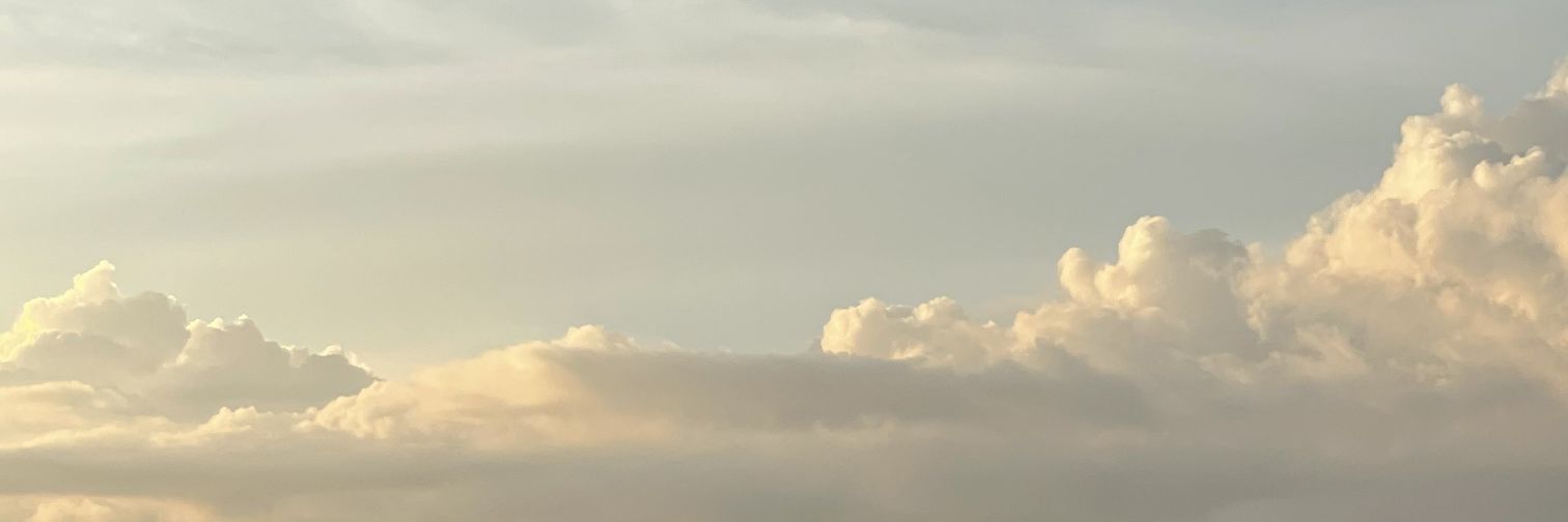 oiljer's profile banner image