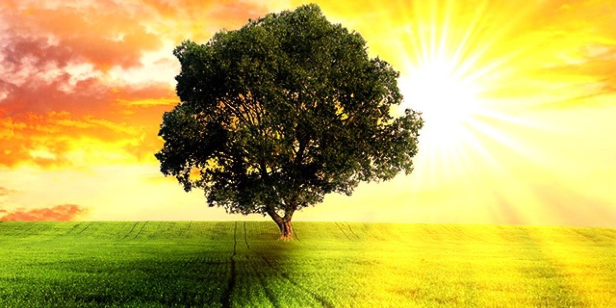 delafems's profile banner image
