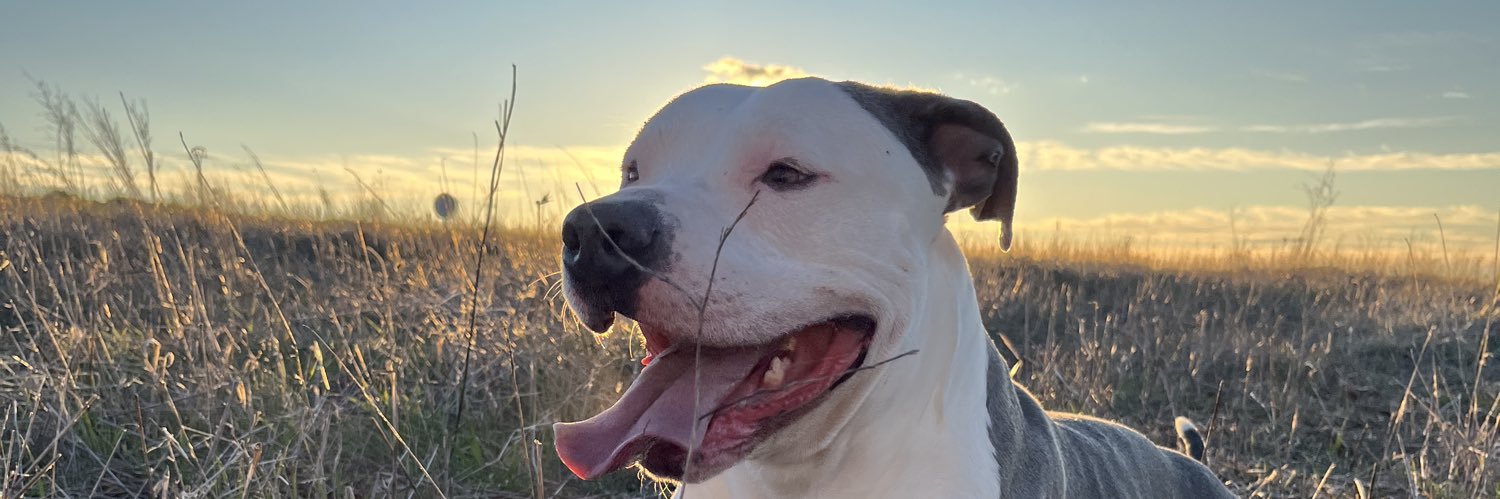 aidalopezz8's profile banner image