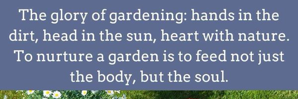 DaysofNoahGen6 Profile Banner