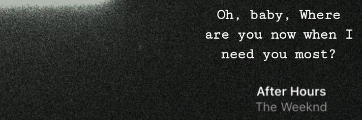 Leilasatoru's profile banner image