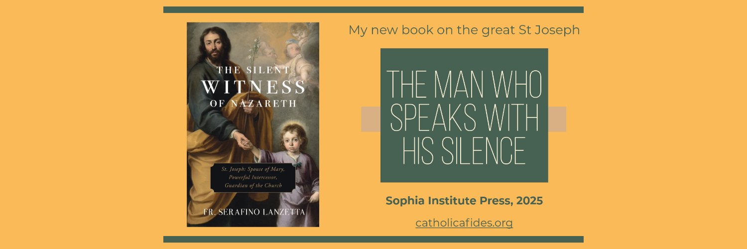 Catholicafides banner