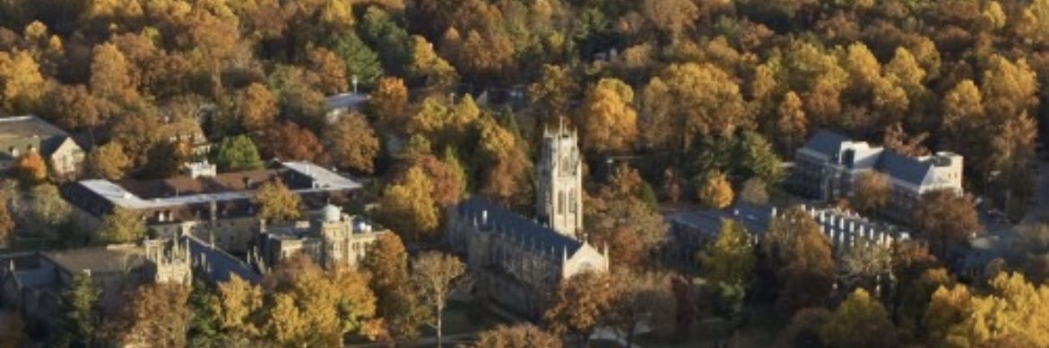 Davis Beilstein banner