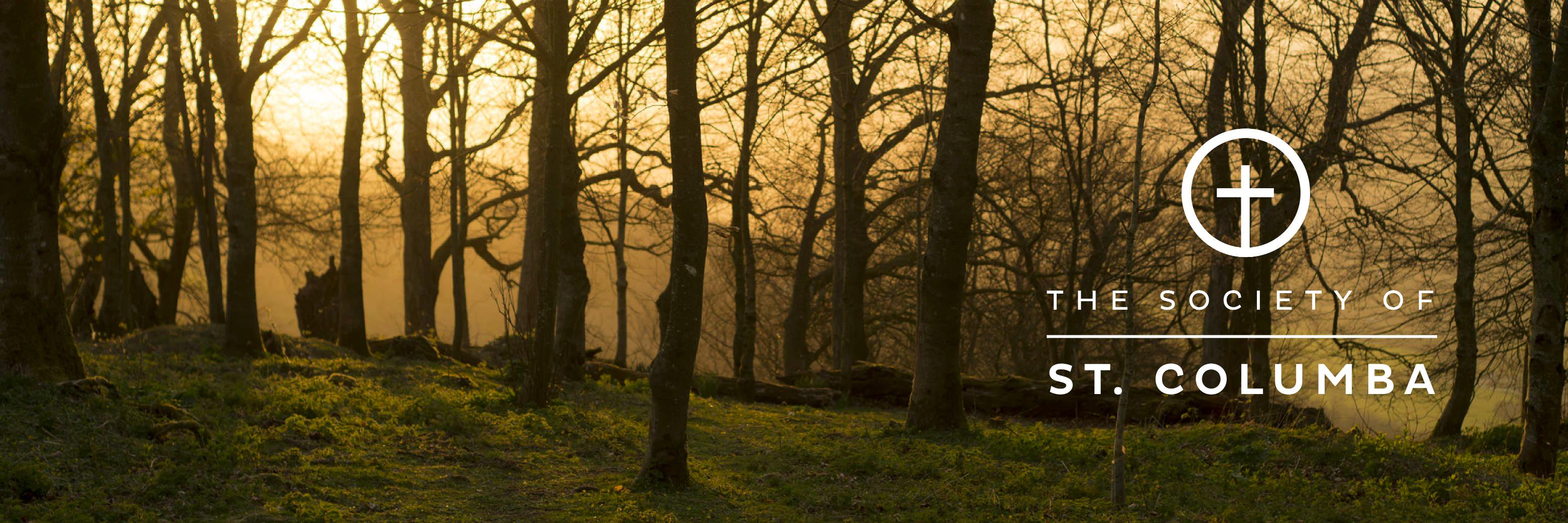 ChasingColumba's profile banner image