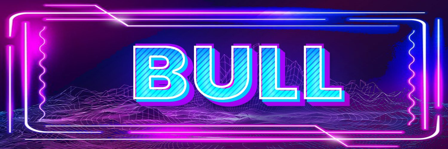 BullNFTs's profile banner image
