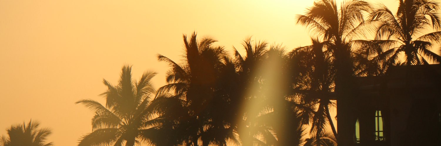 Alecvzc's profile banner image