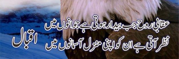 hasrat830's profile banner image