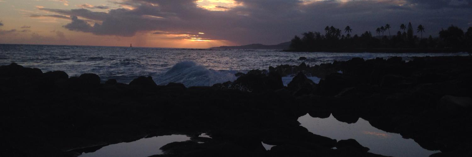 kim_dorr's profile banner image