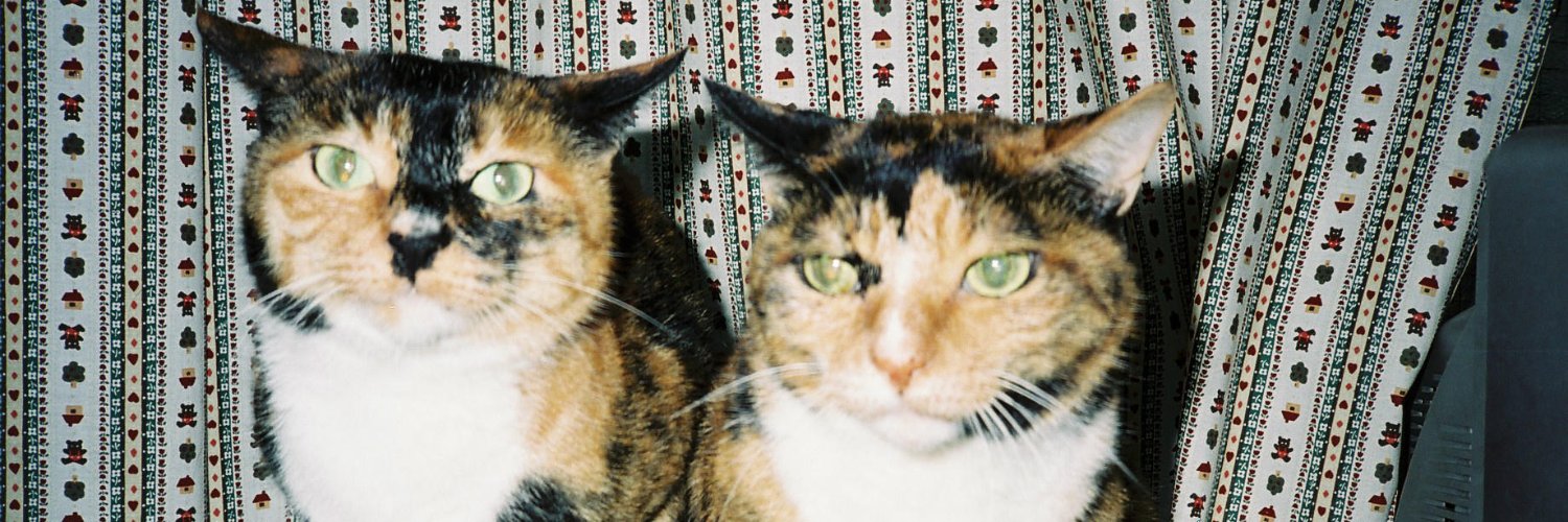 シルバー・レイ banner