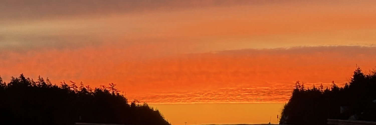 ᴍᴀʟʟᴏʀʏ banner