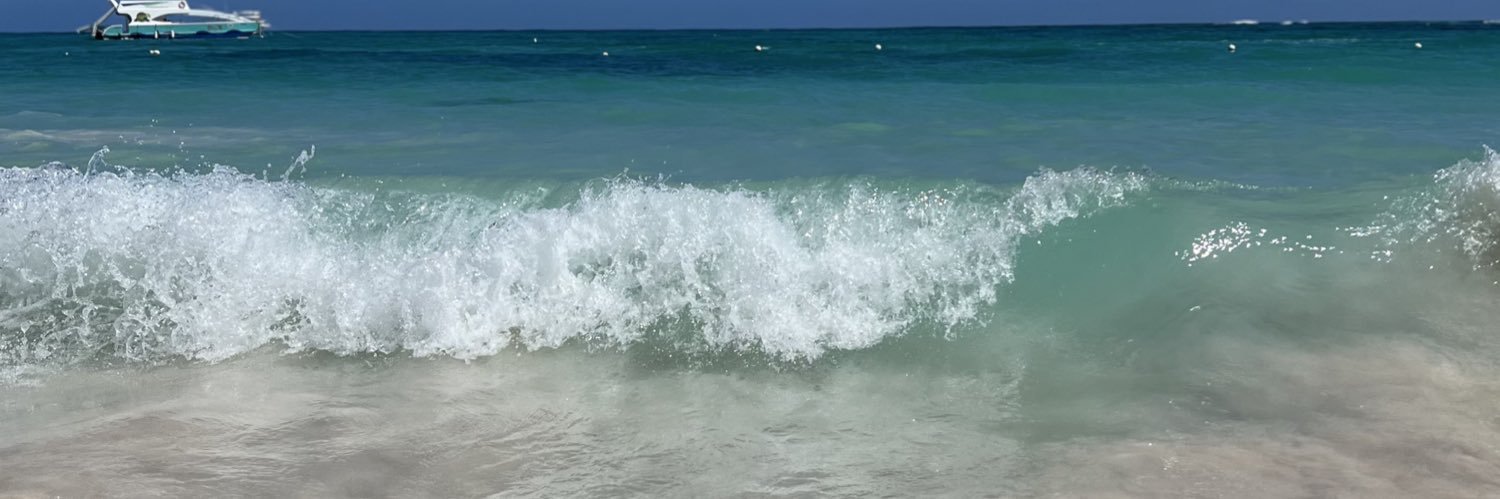 flor_solaro's profile banner image