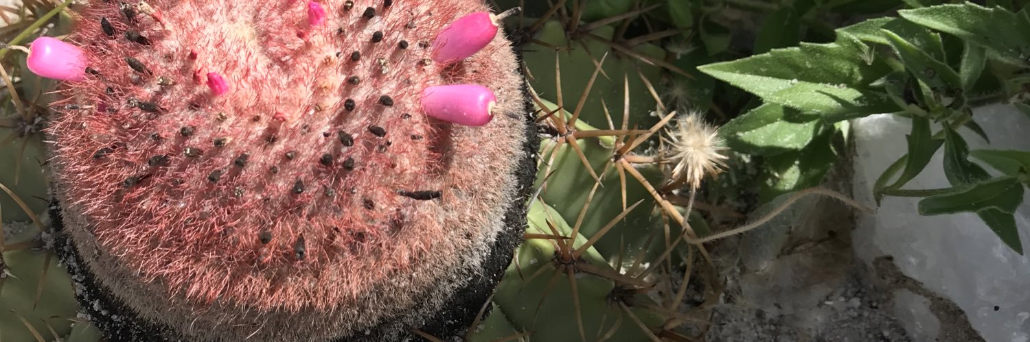 CAAPUA - Aprendiz da vida. Bancada Ateísta banner