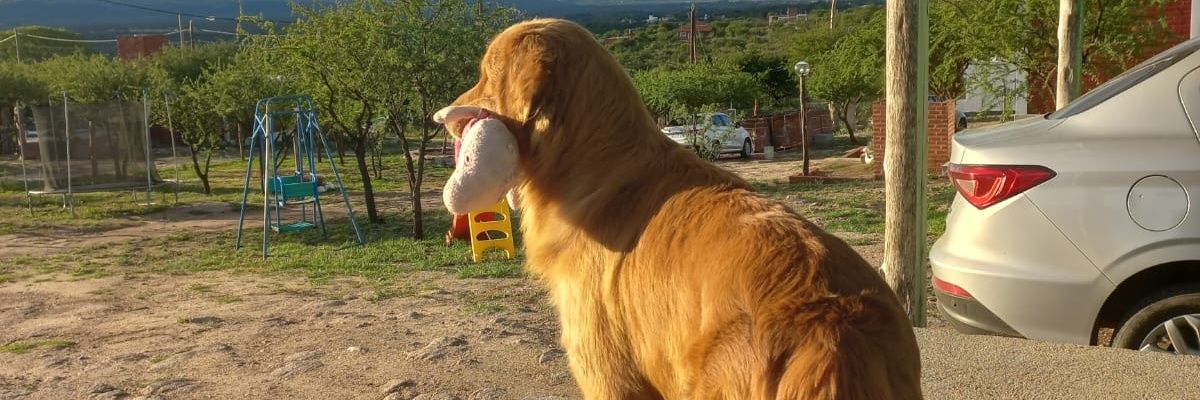 FlorchuMartin's profile banner image