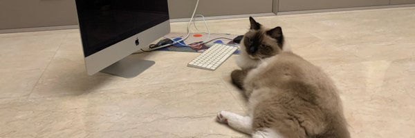 jackookk Profile Banner