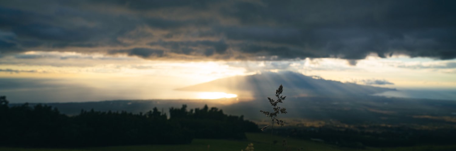jarmad92's profile banner image
