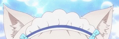 shz banner