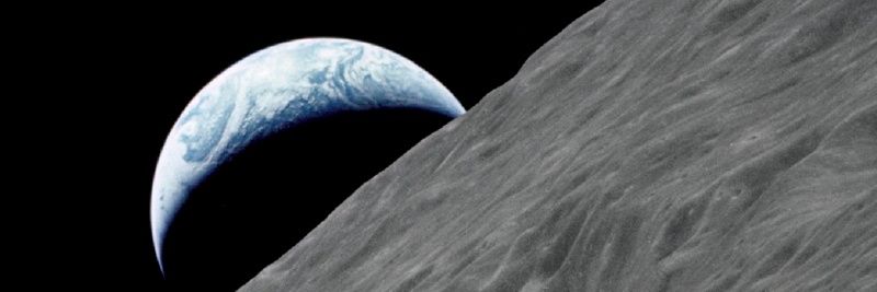 Grey From Orion banner