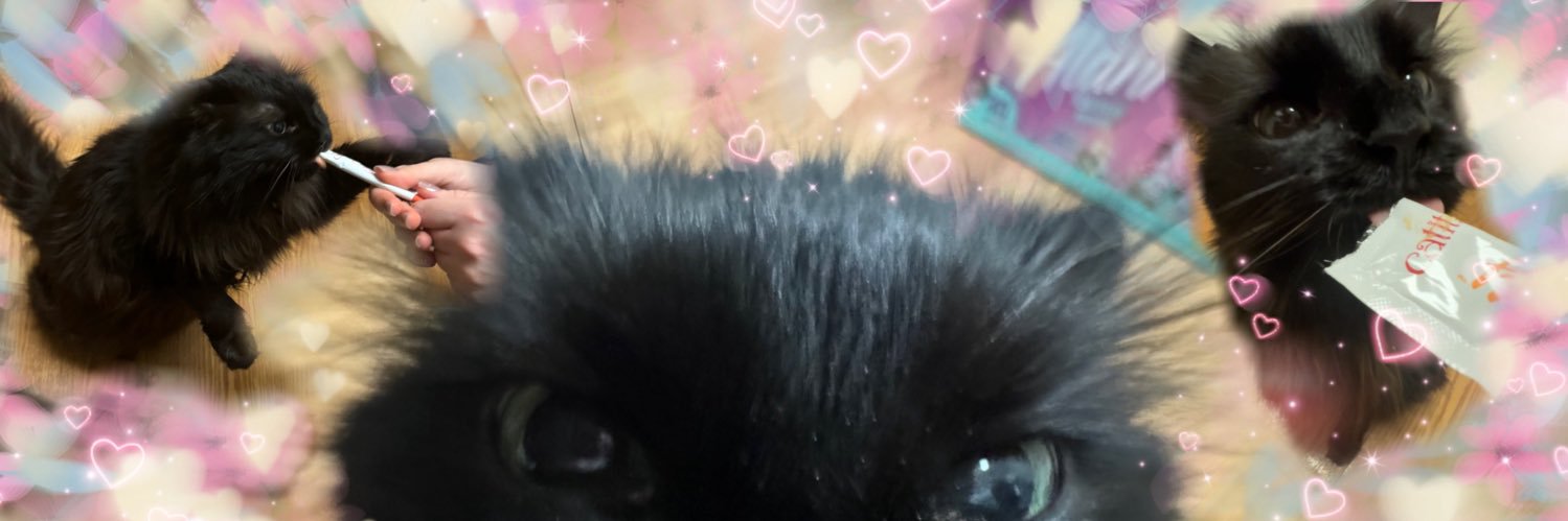 Kylie banner