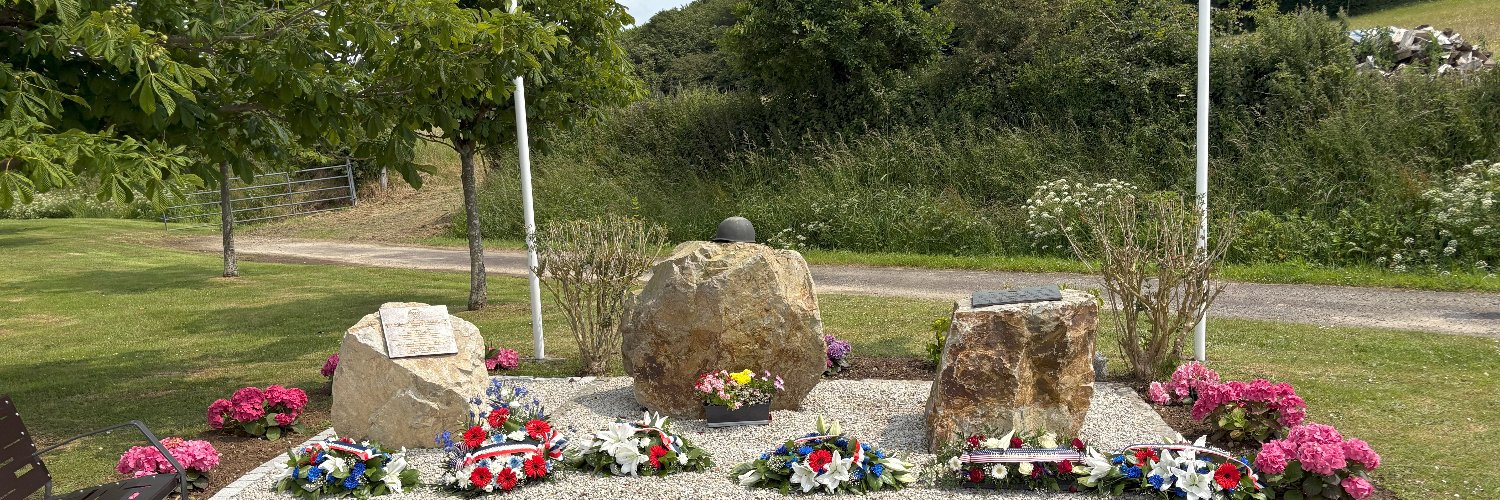 Chris Daly ☔️ banner