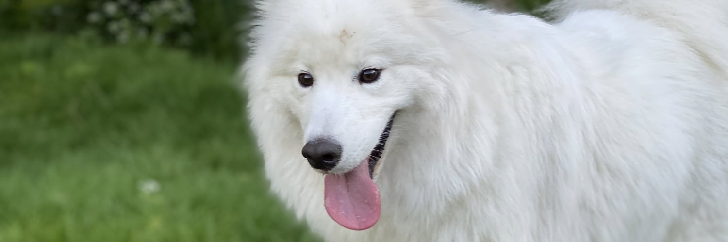 Sophie Hudson banner