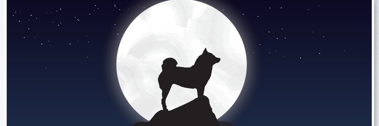 SHIBALIFE 🐕 banner
