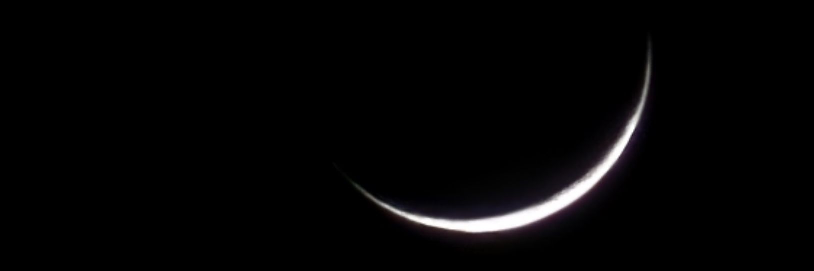 jebelli_m's profile banner image