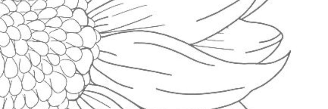 ombpatel02's profile banner image