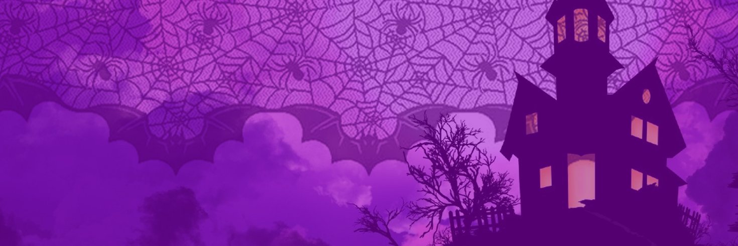 Spider Rock Web banner