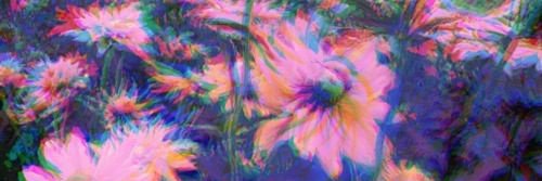 rezamardhani's profile banner image